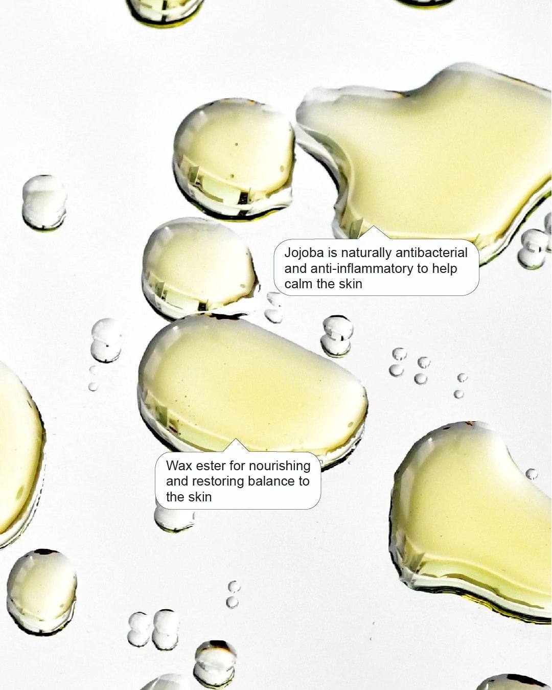 Foile Jojoba Face Oil